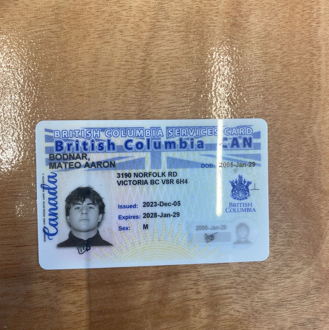 Profile of Mateo Bodnar