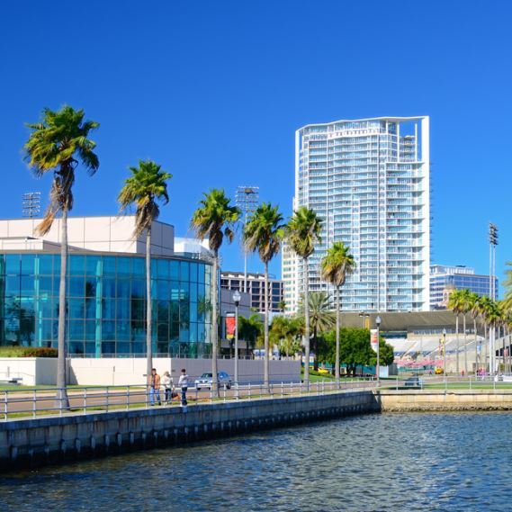 Profile of Mel Steves