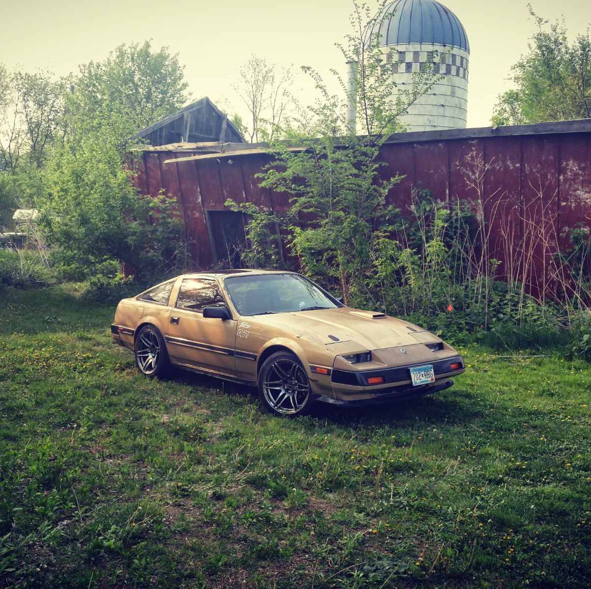 Profile of Tim Schultz