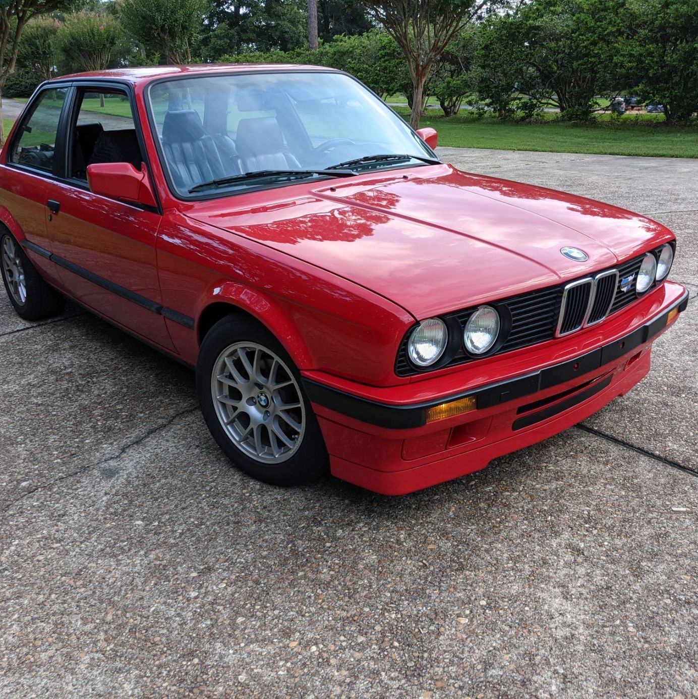 Profile of Manny Nieves