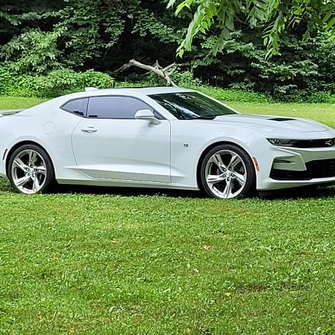 Profile of Gary Scarbrough