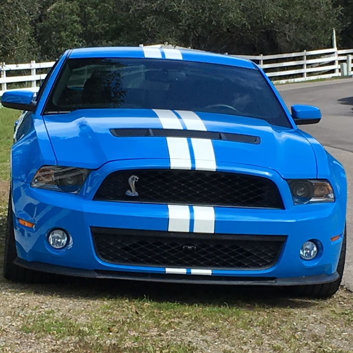 Profile of Greg Porter