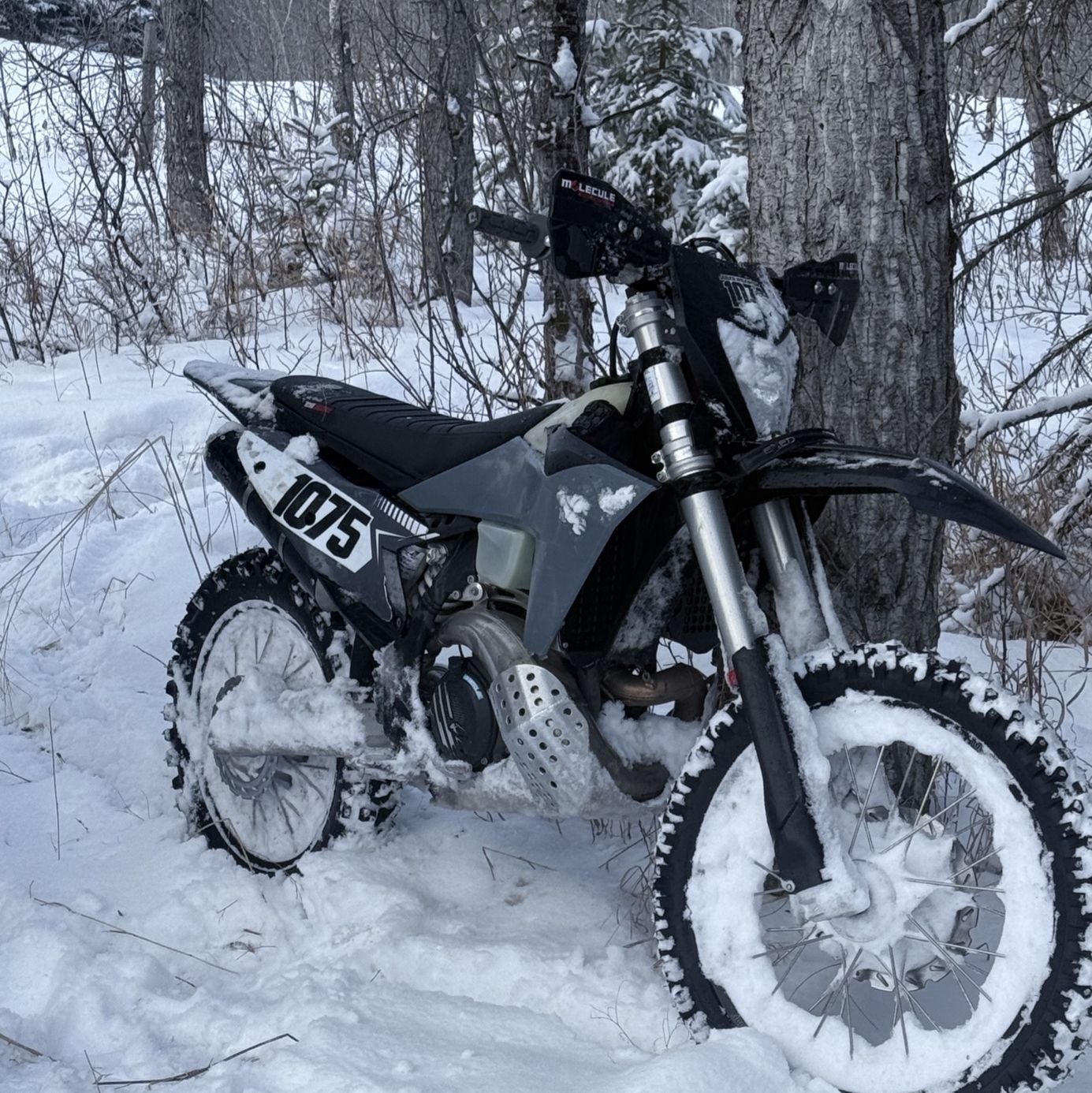 Profile of Jules Wilkinson