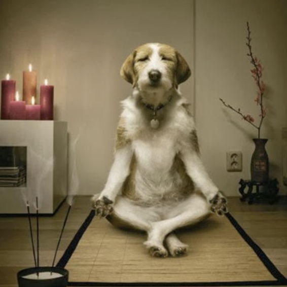 Profile of Richard H