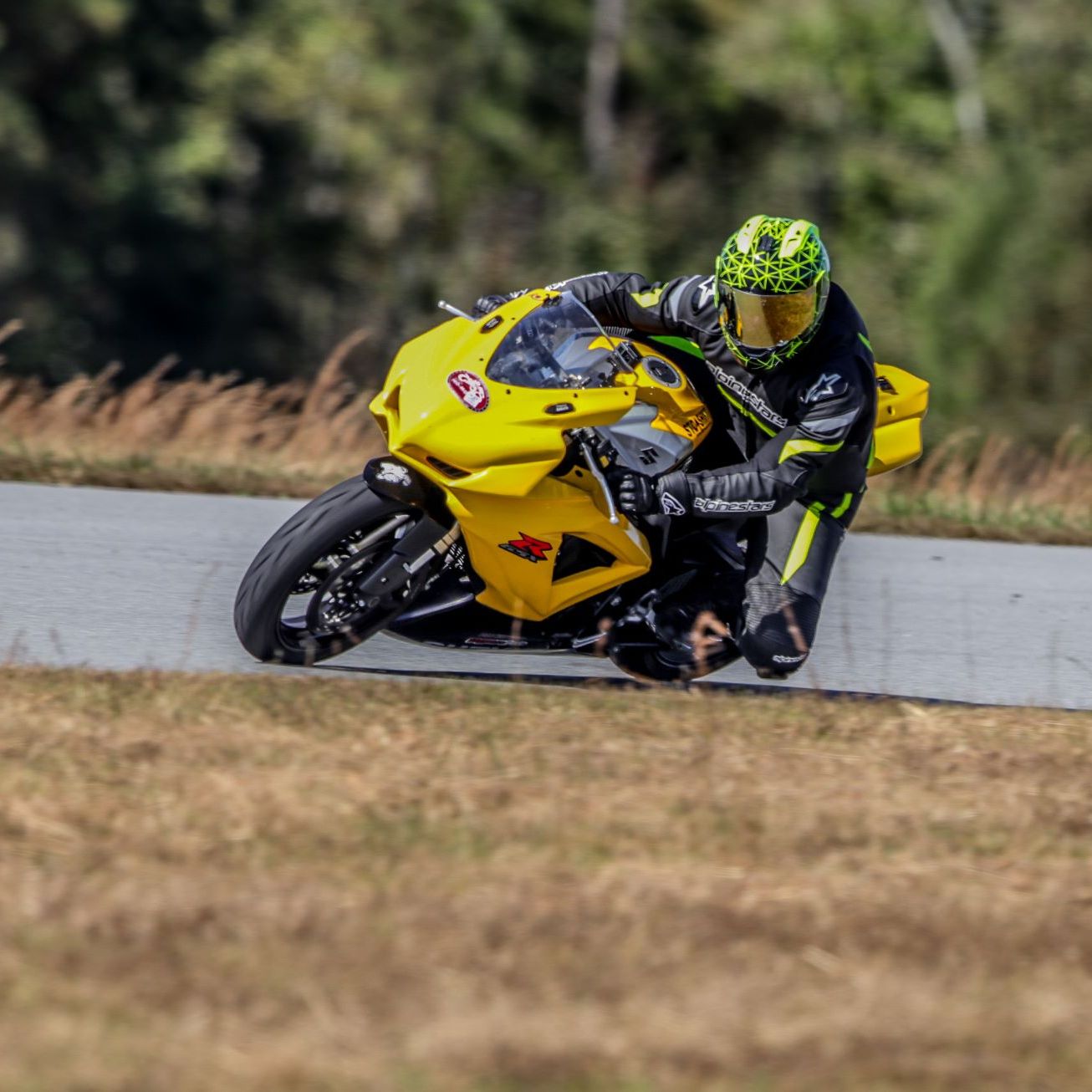 Profile of Alex Despotovich