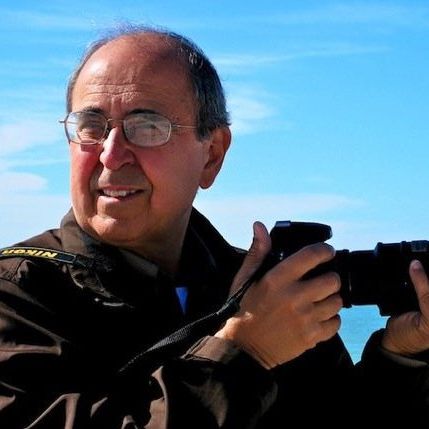 Profile of Michael Young