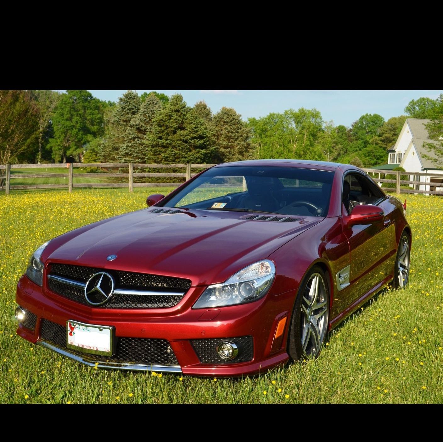 Profile of Dave Best