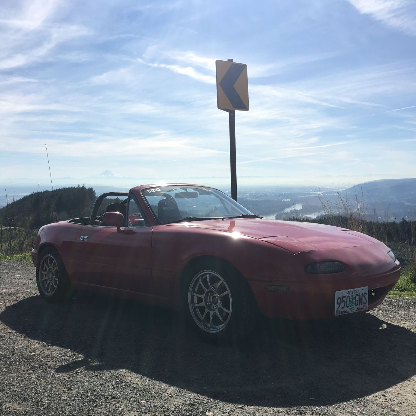 Profile of Ryan Mauch