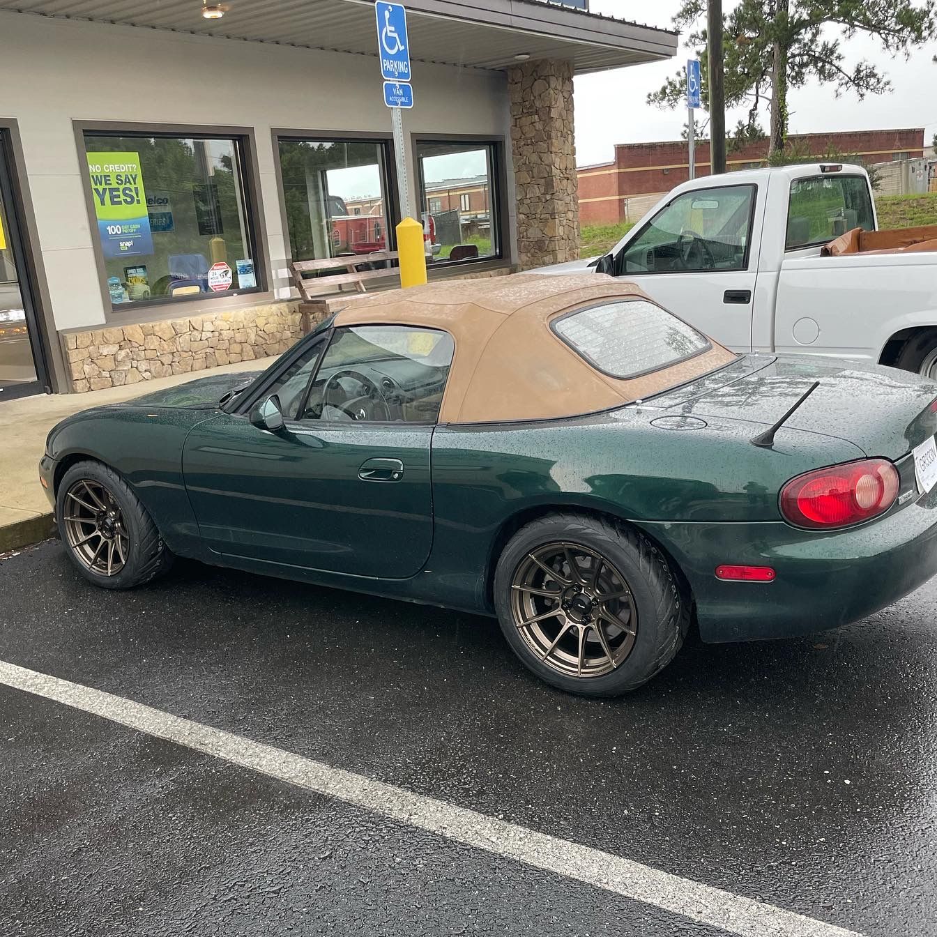 Profile of Brandon Ellison