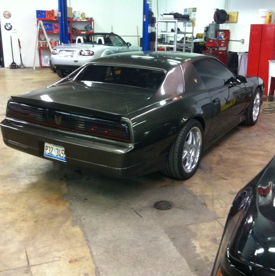 Profile of Perry Rossi