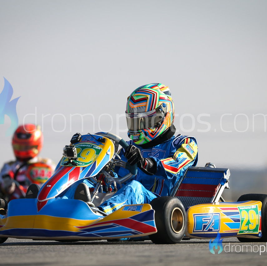 Profile of Rory van der Steur