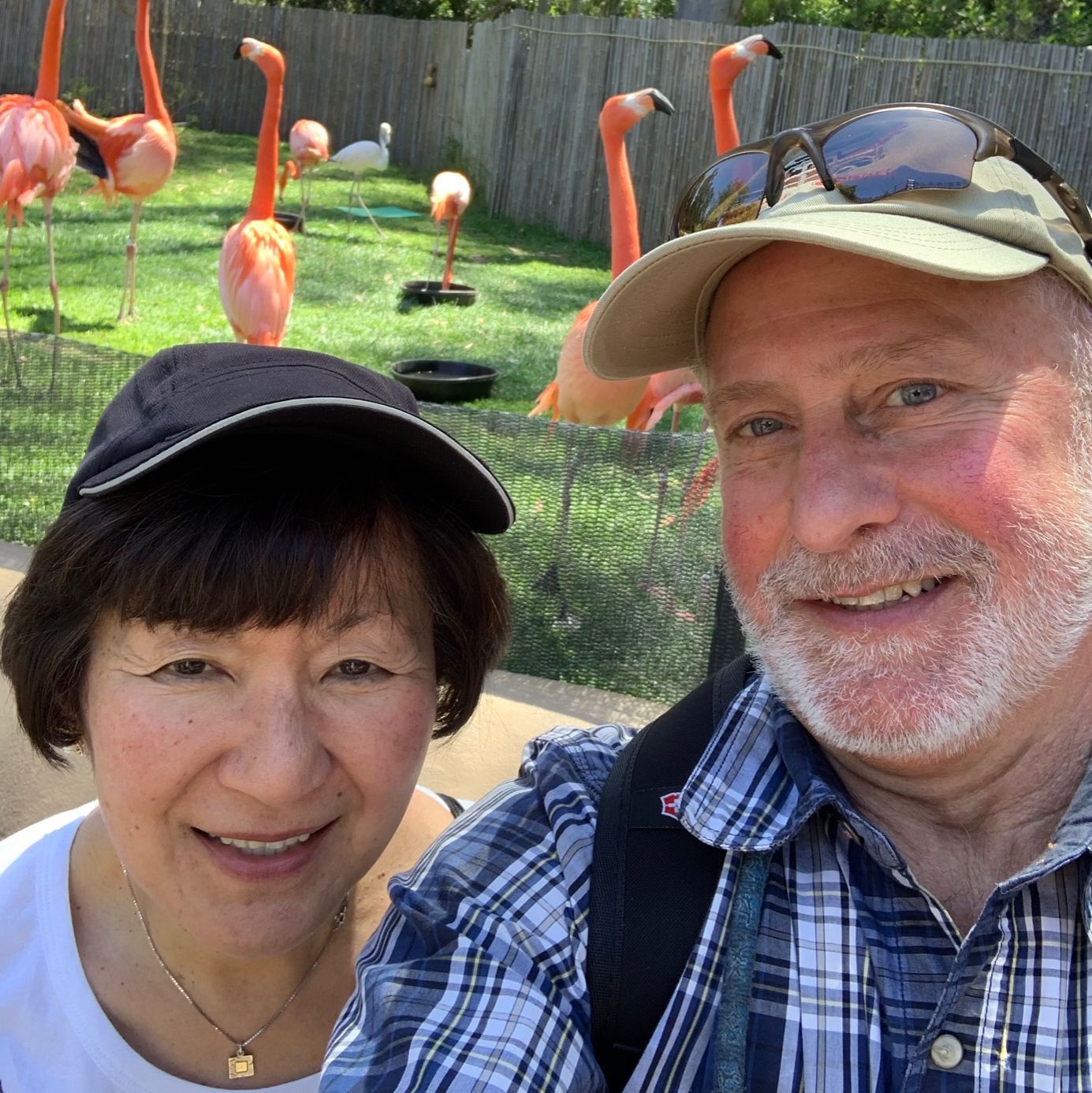 Profile of Brian Asher