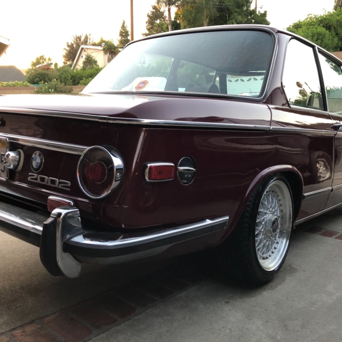 Profile of Steven Miranda