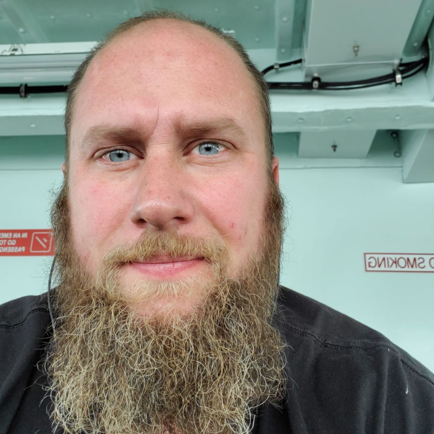 Profile of Kyle Avery