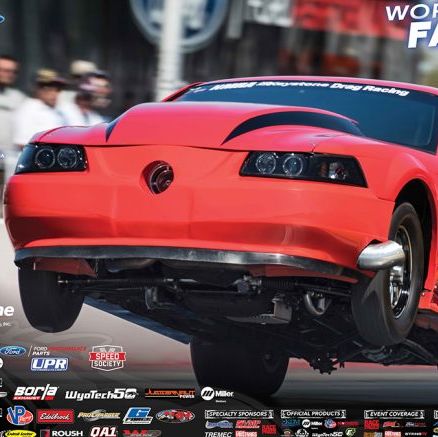 Profile of Vince Palazzolo