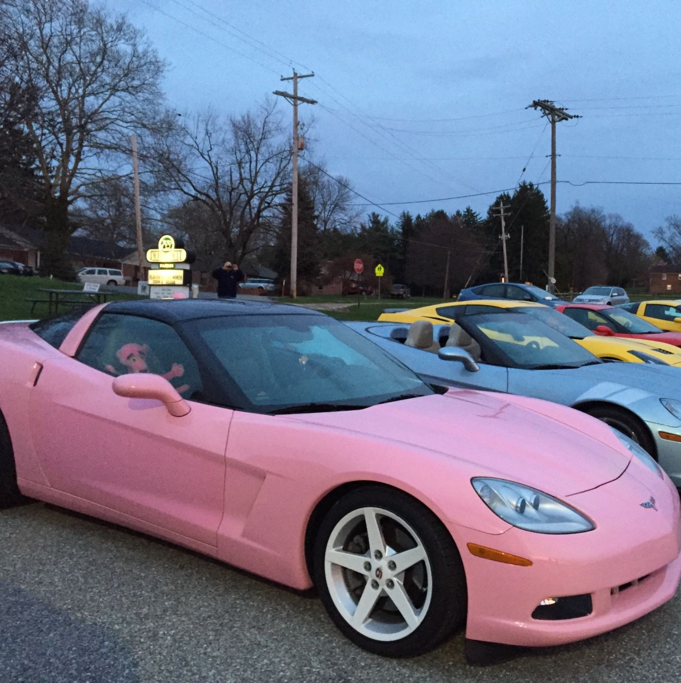 Profile of Peggy Durnin