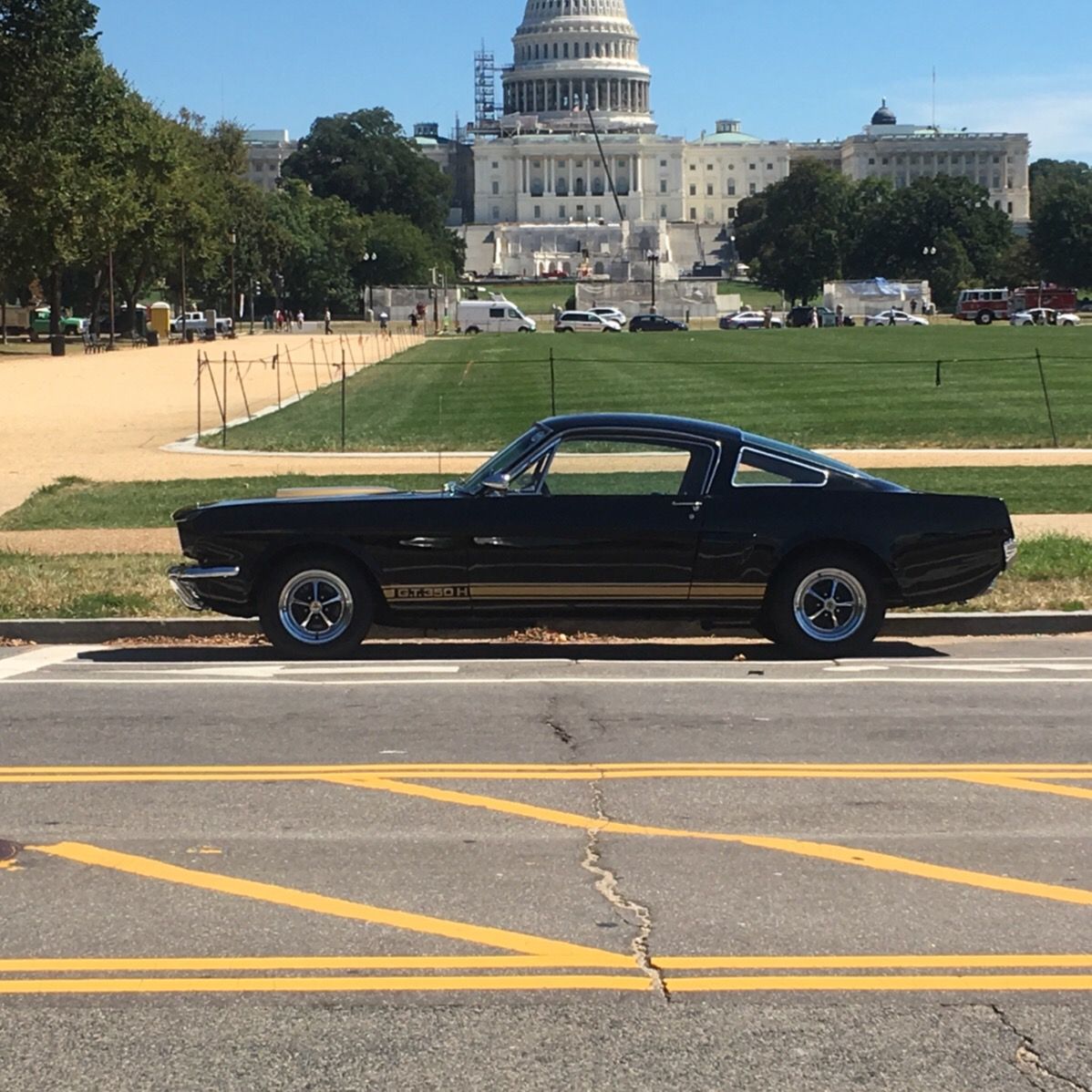 Profile of Steve Mcdonald