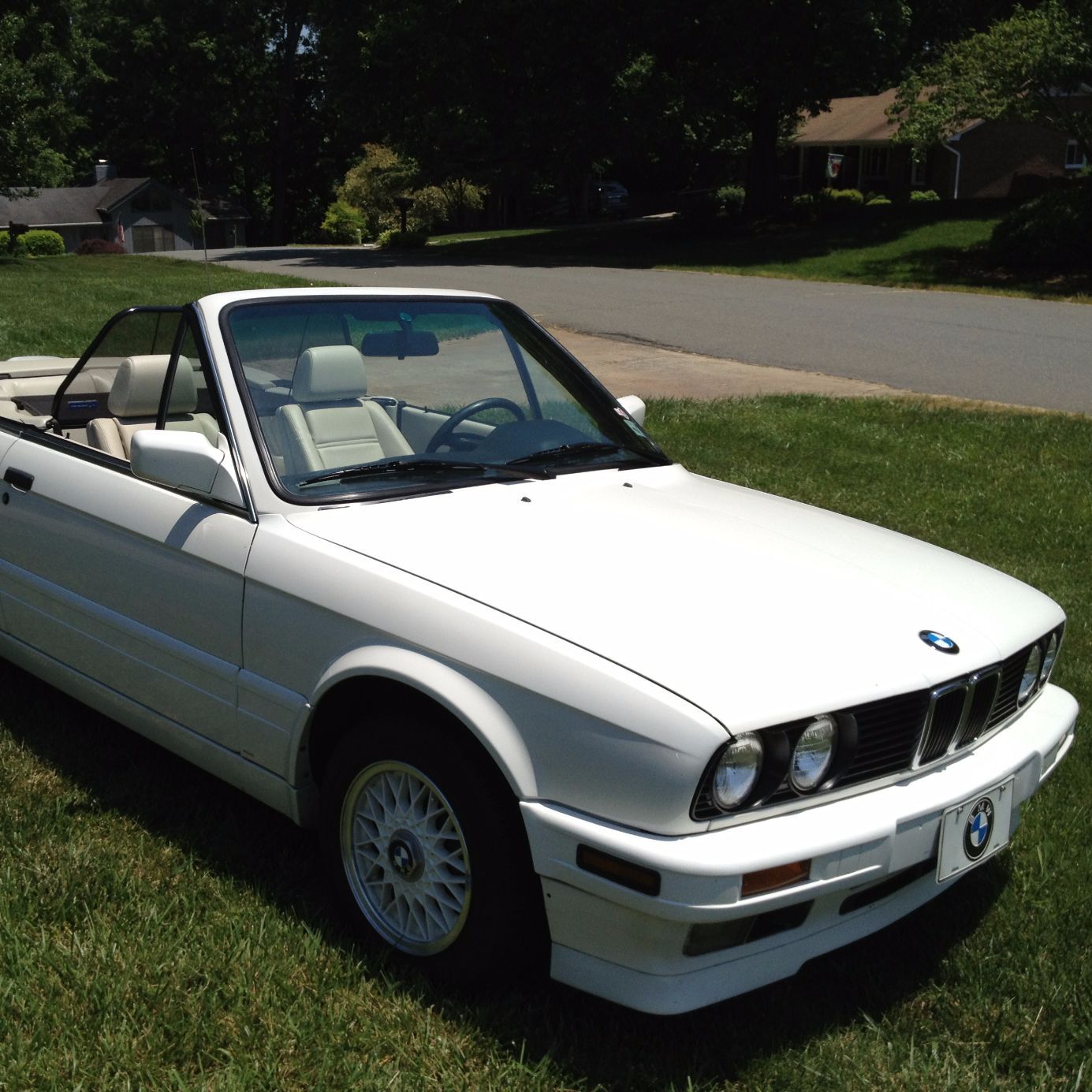 Profile of Dr. Matthew Burton