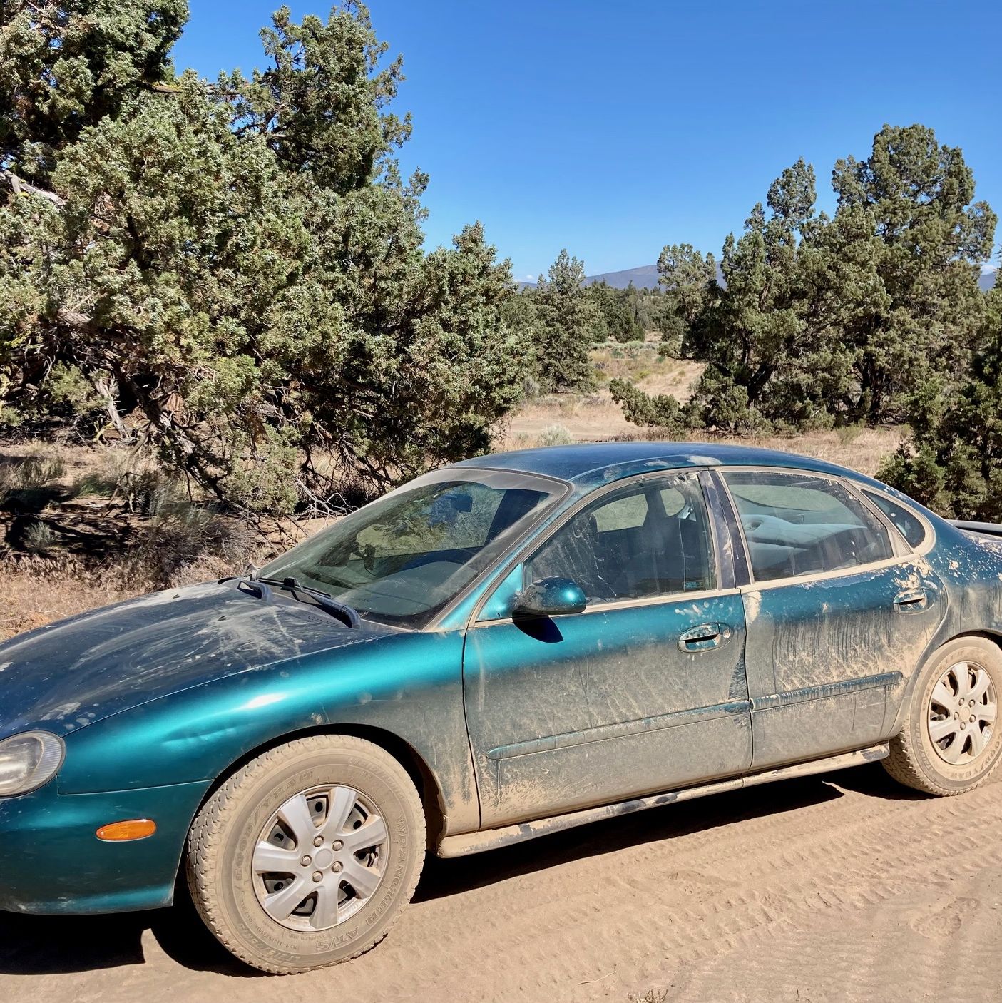 Profile of Gordon Mitchell