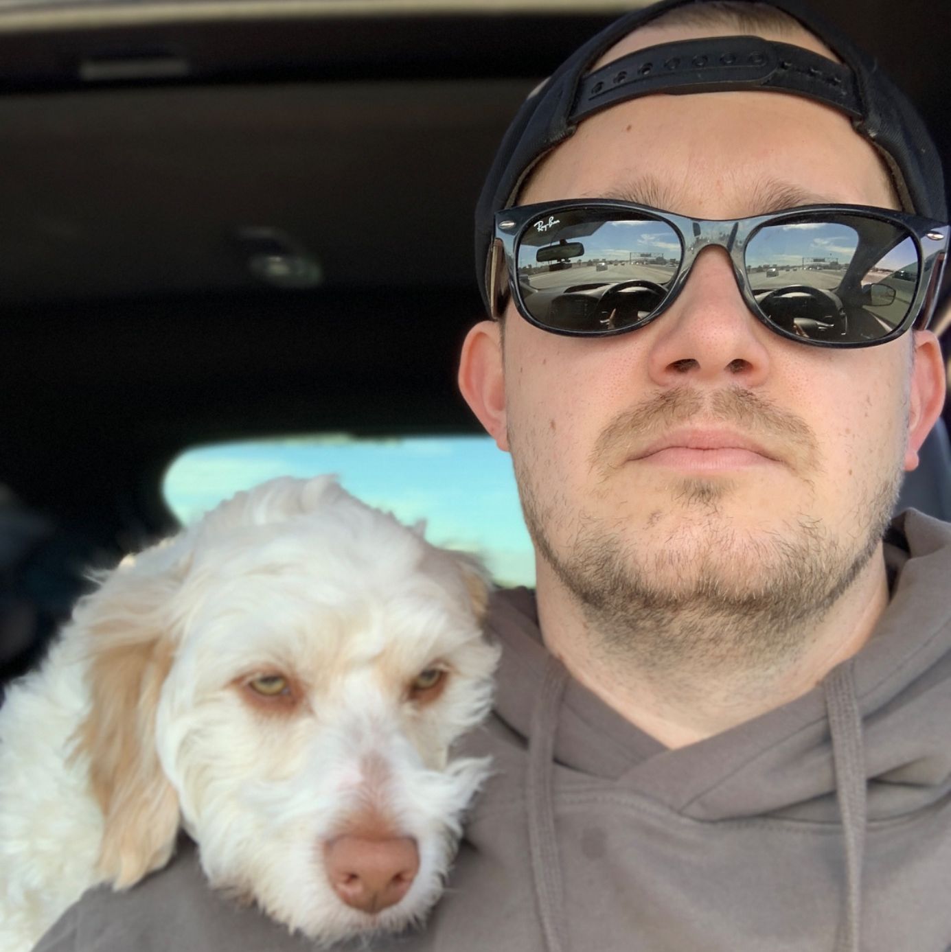 Profile of Dan Higginbotham
