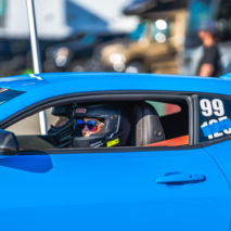 Profile of Bonnie Gambino