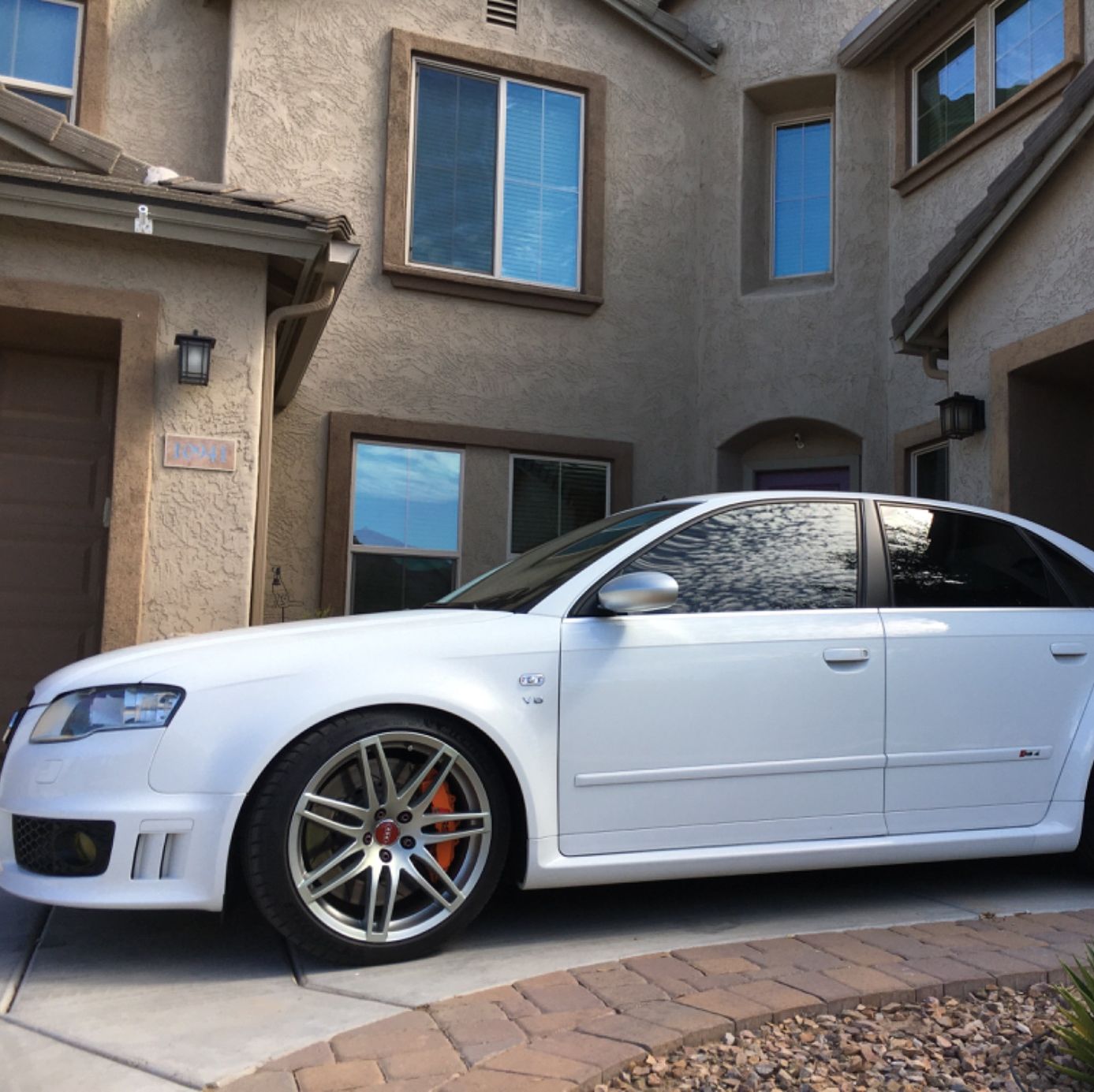 Profile of Shayne Berns