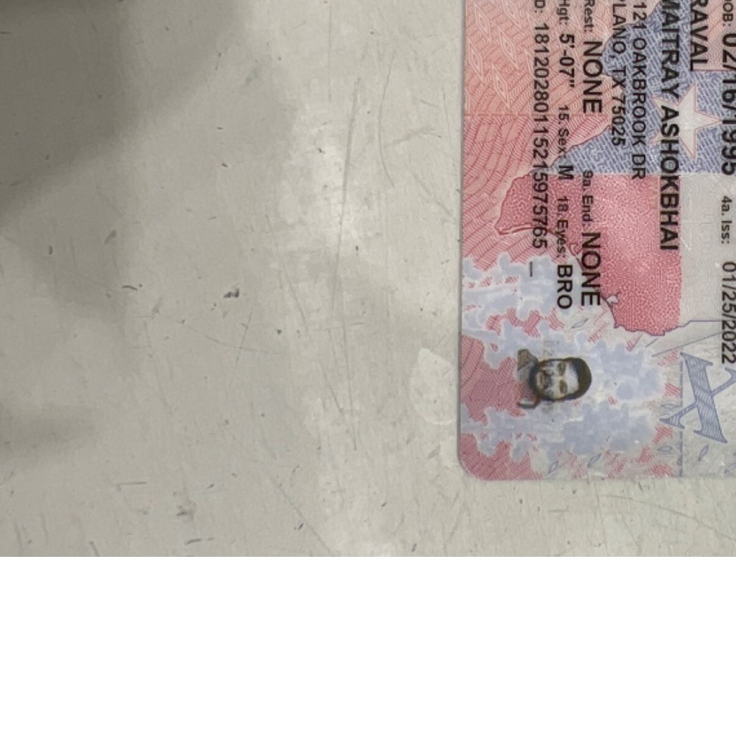 Profile of Maitray Raval