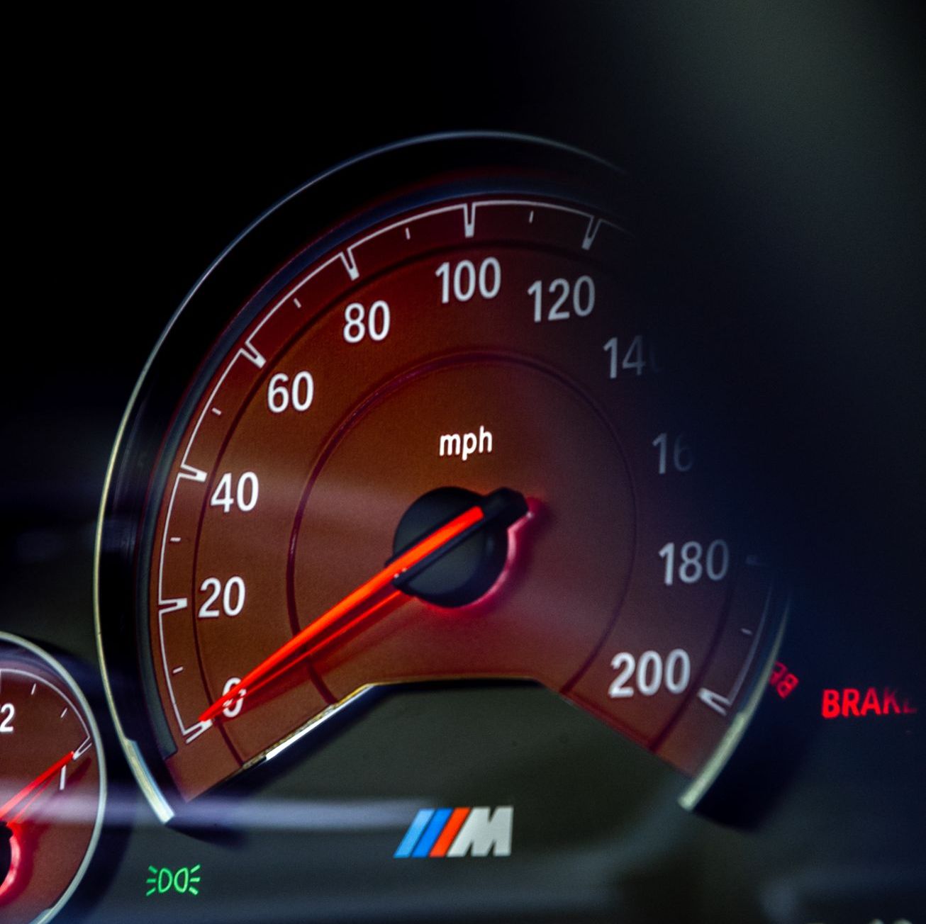 Profile of Dominic Arvai