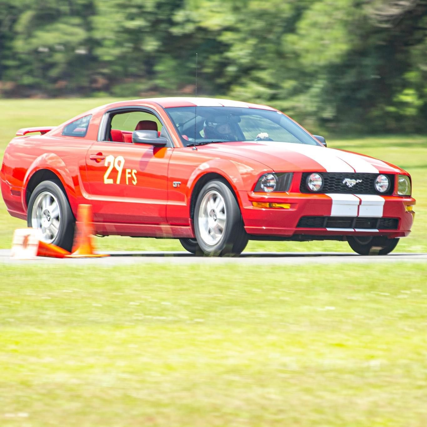 Profile of Gary Di Cicco