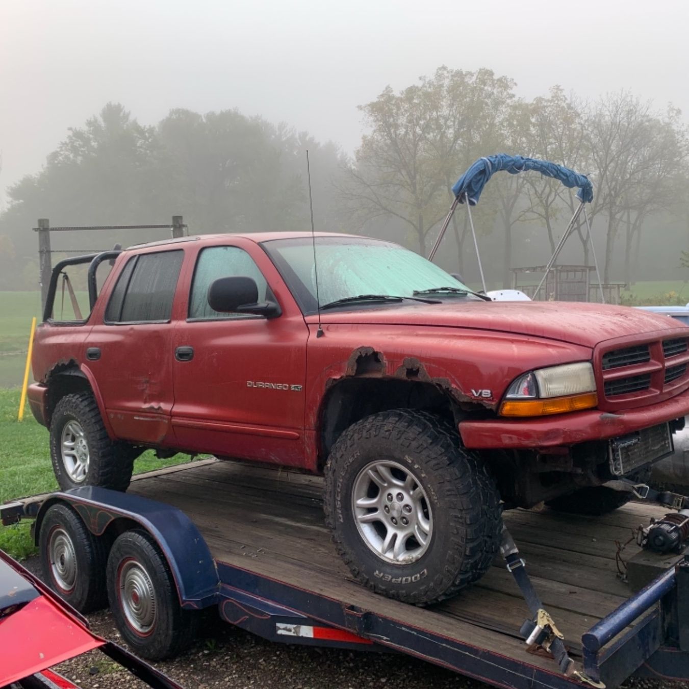 Profile of Nico Colagrossi