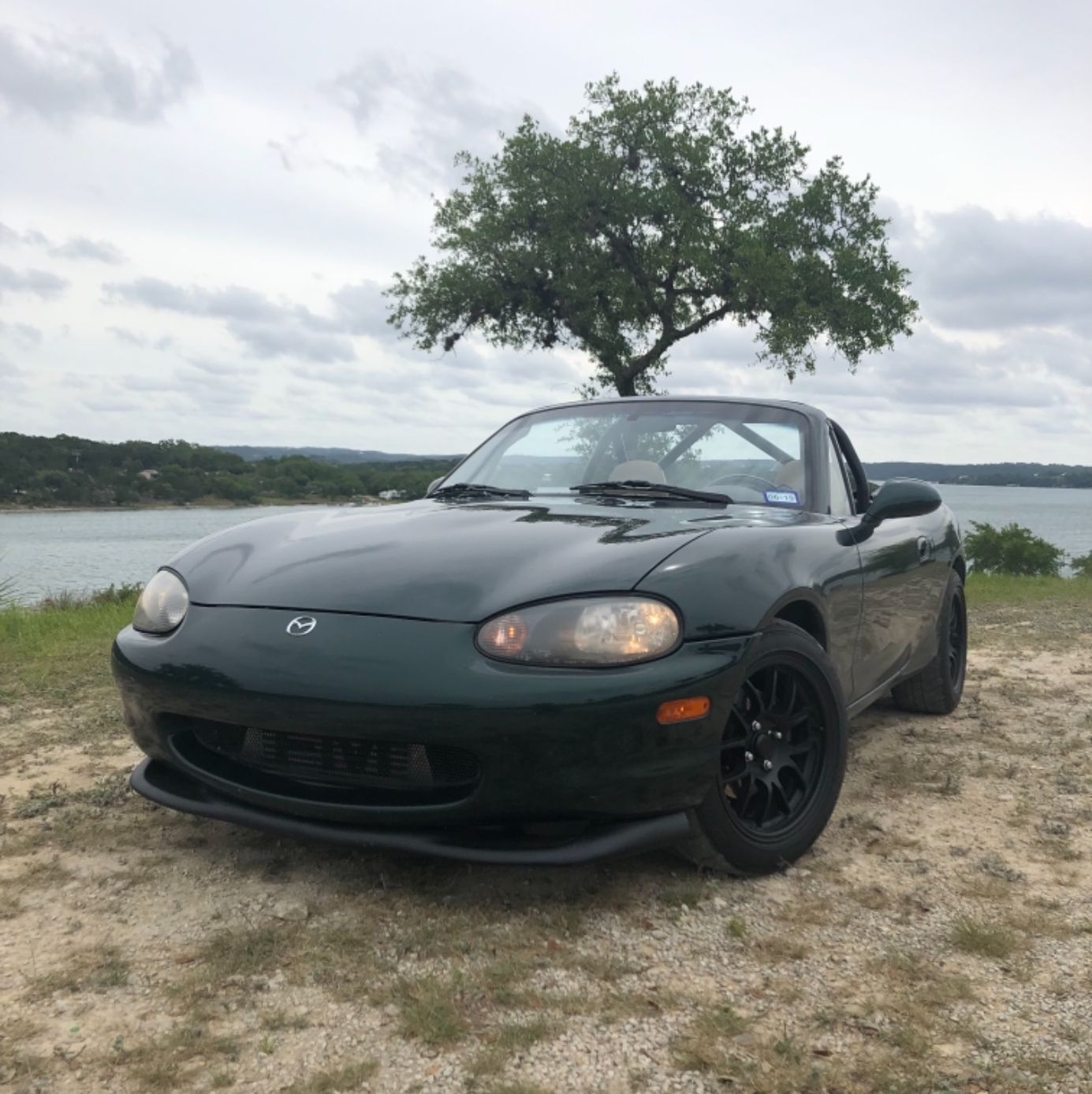 Profile of William Rhodes