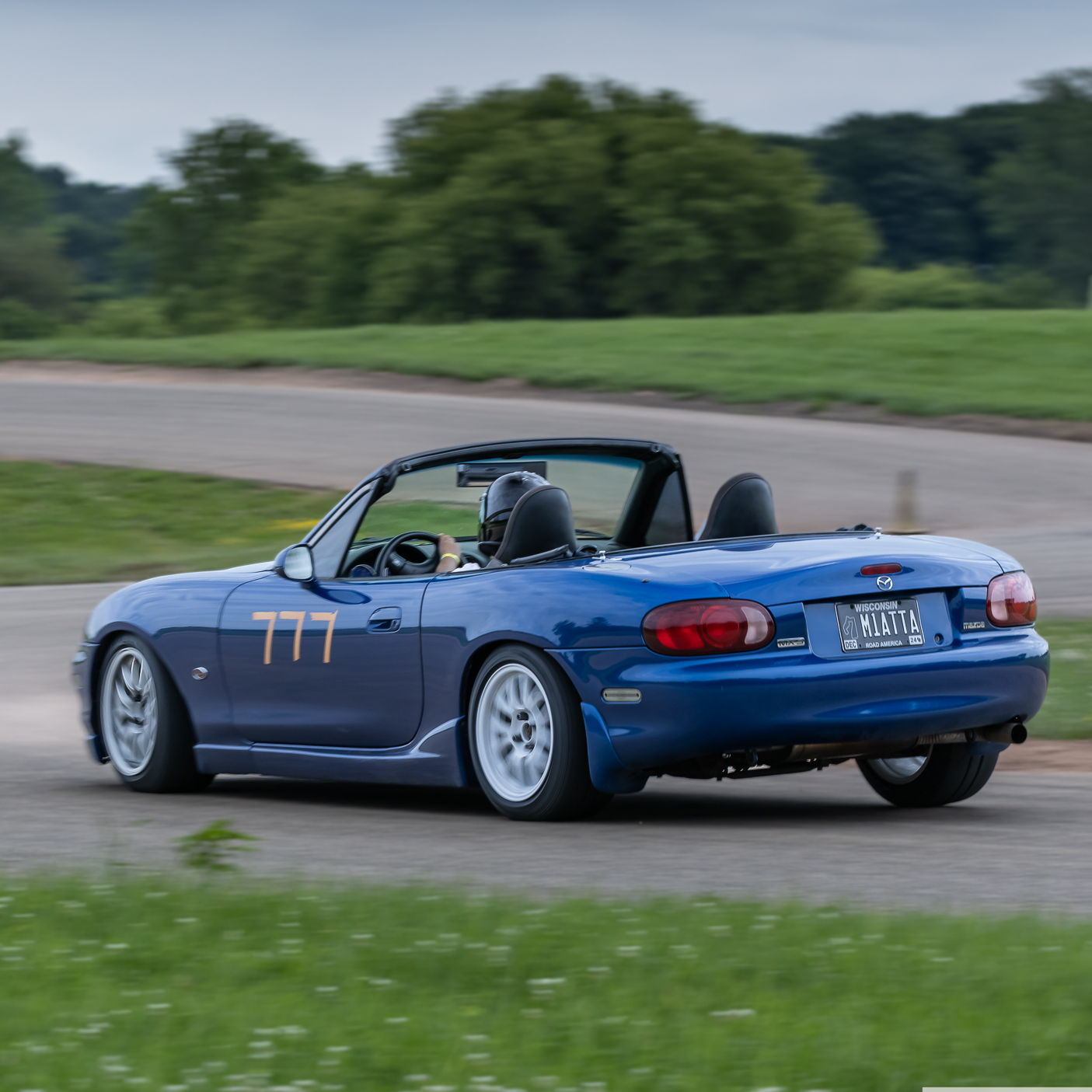 Profile of Niko Lee