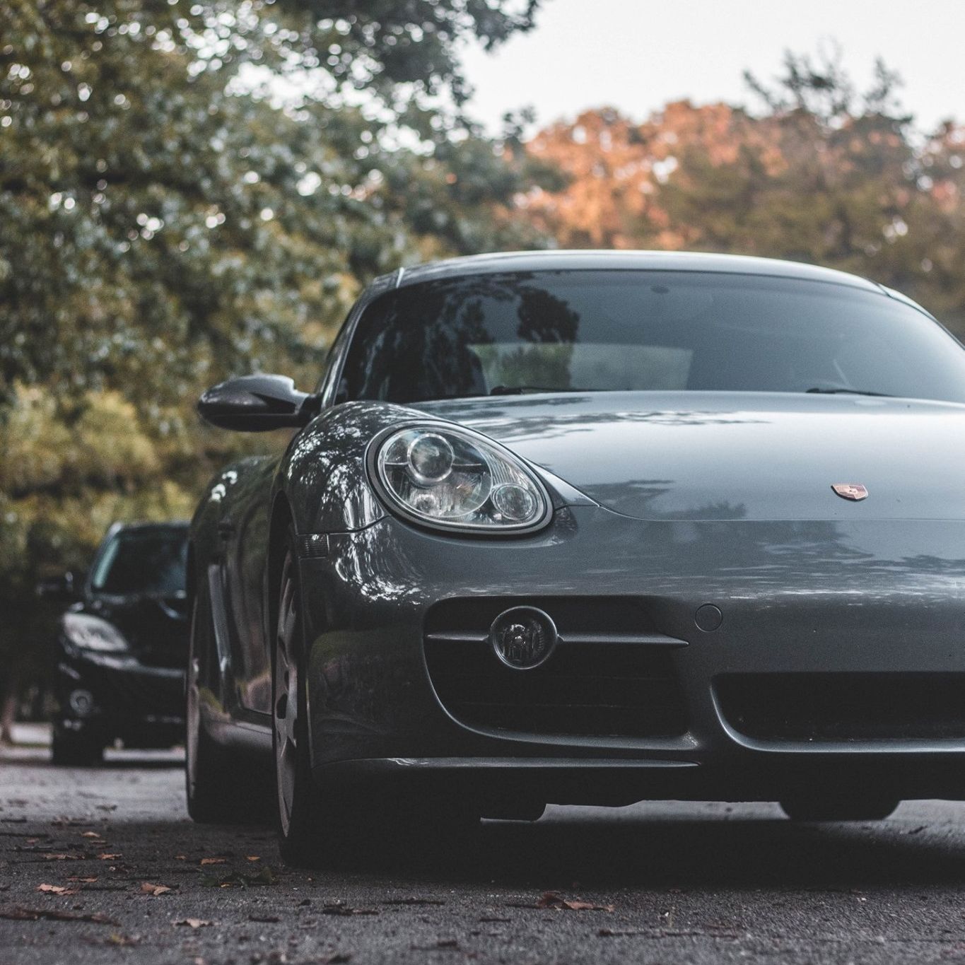 Profile of Jonathan Bates