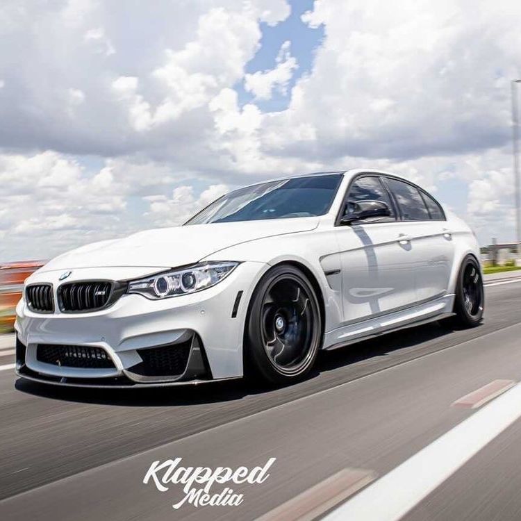 Profile of Alex Wilson