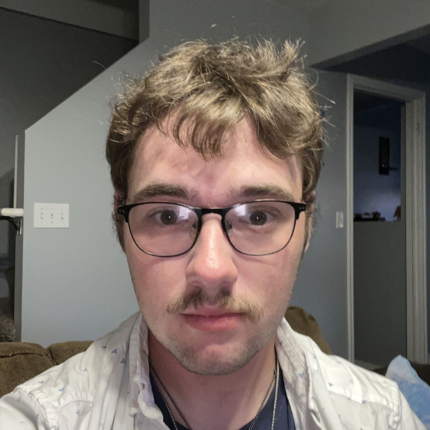 Profile of Ayden Krstich