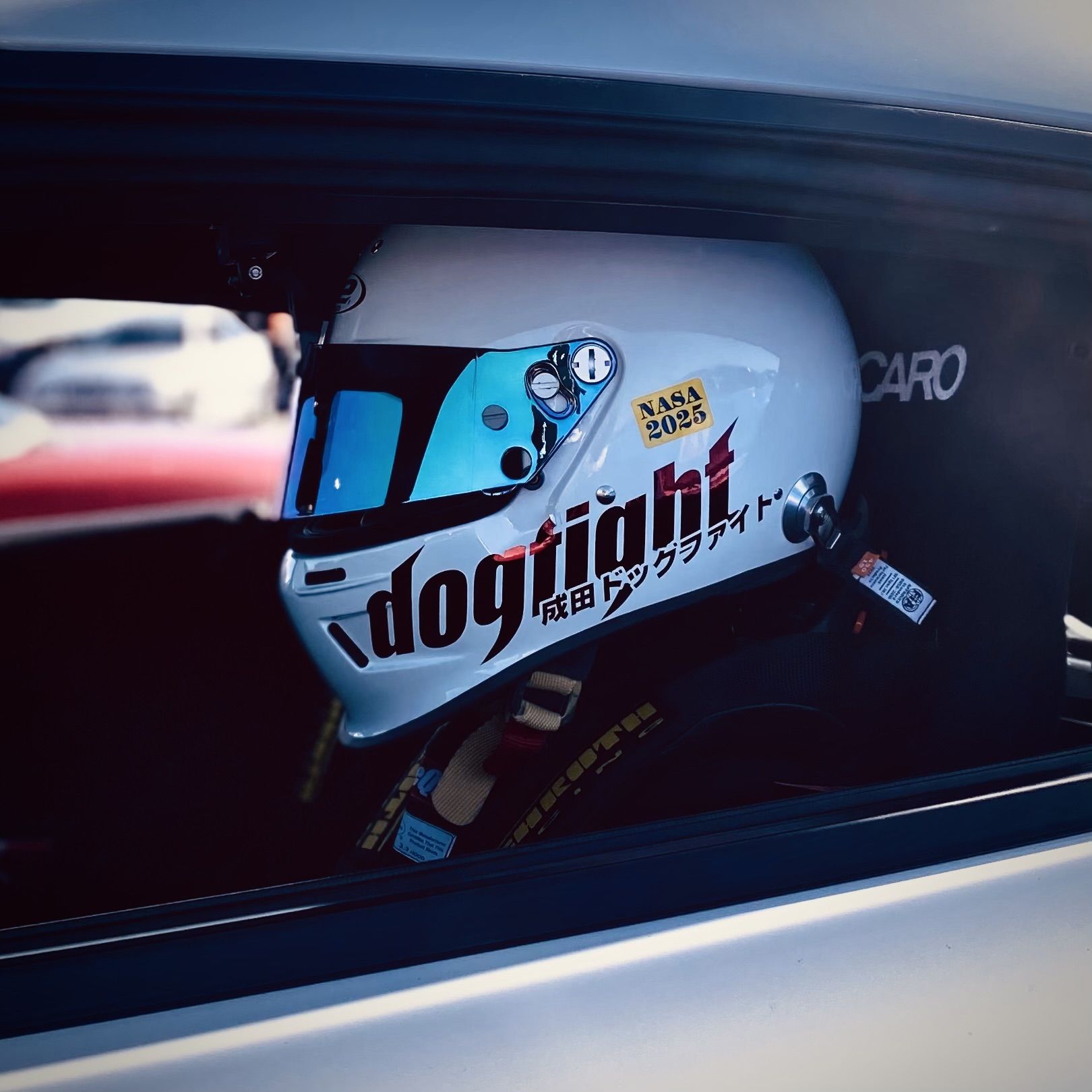 Profile of Timothy Nguyen