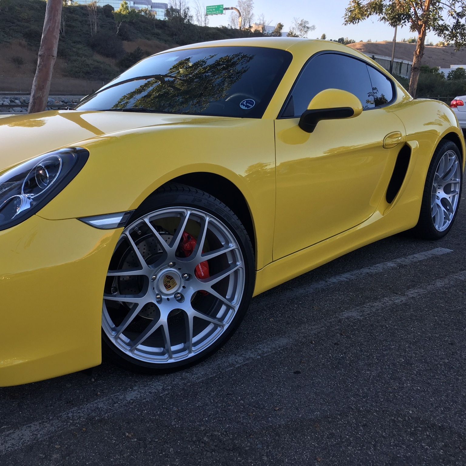 Profile of Michael Annis