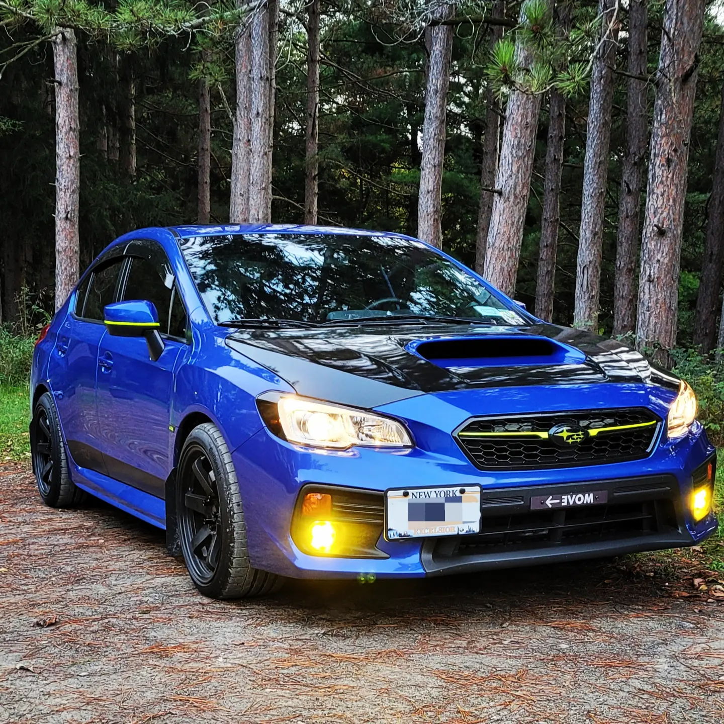 Profile of Lee Oldfield