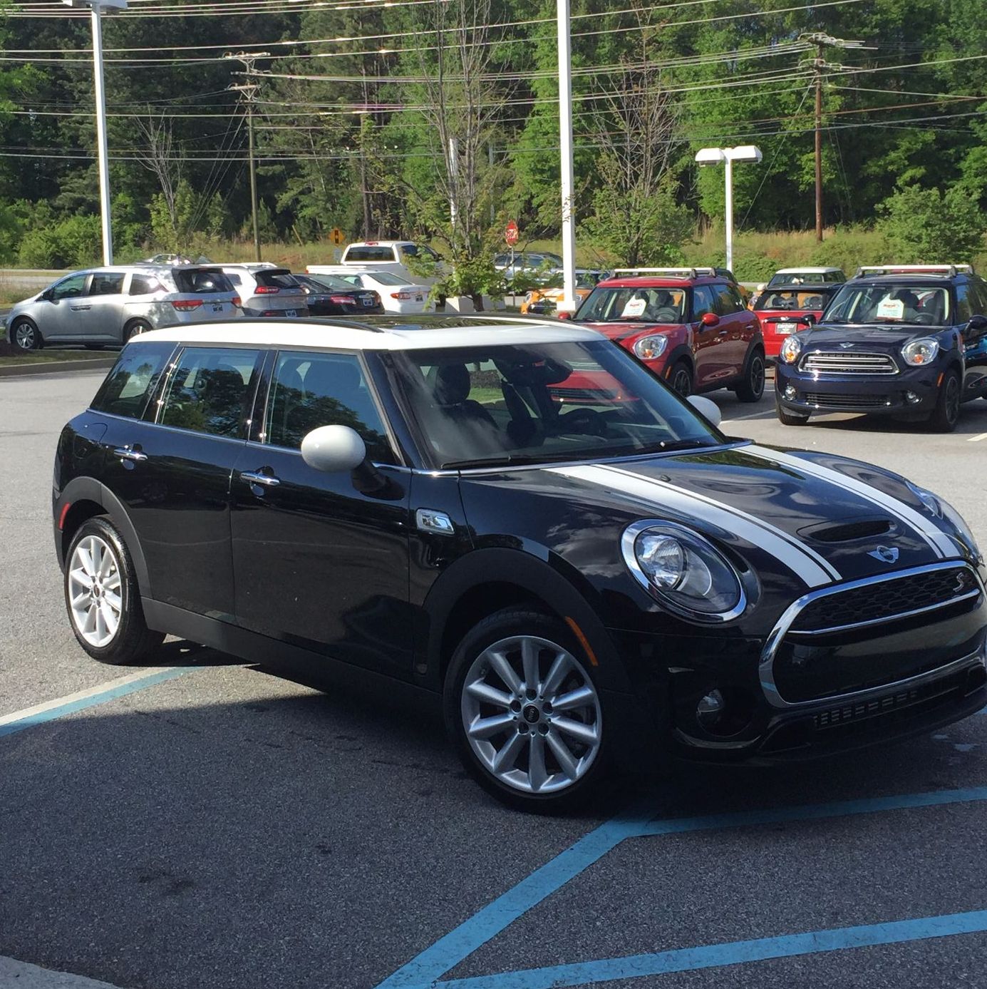 Profile of Tara Sullivan