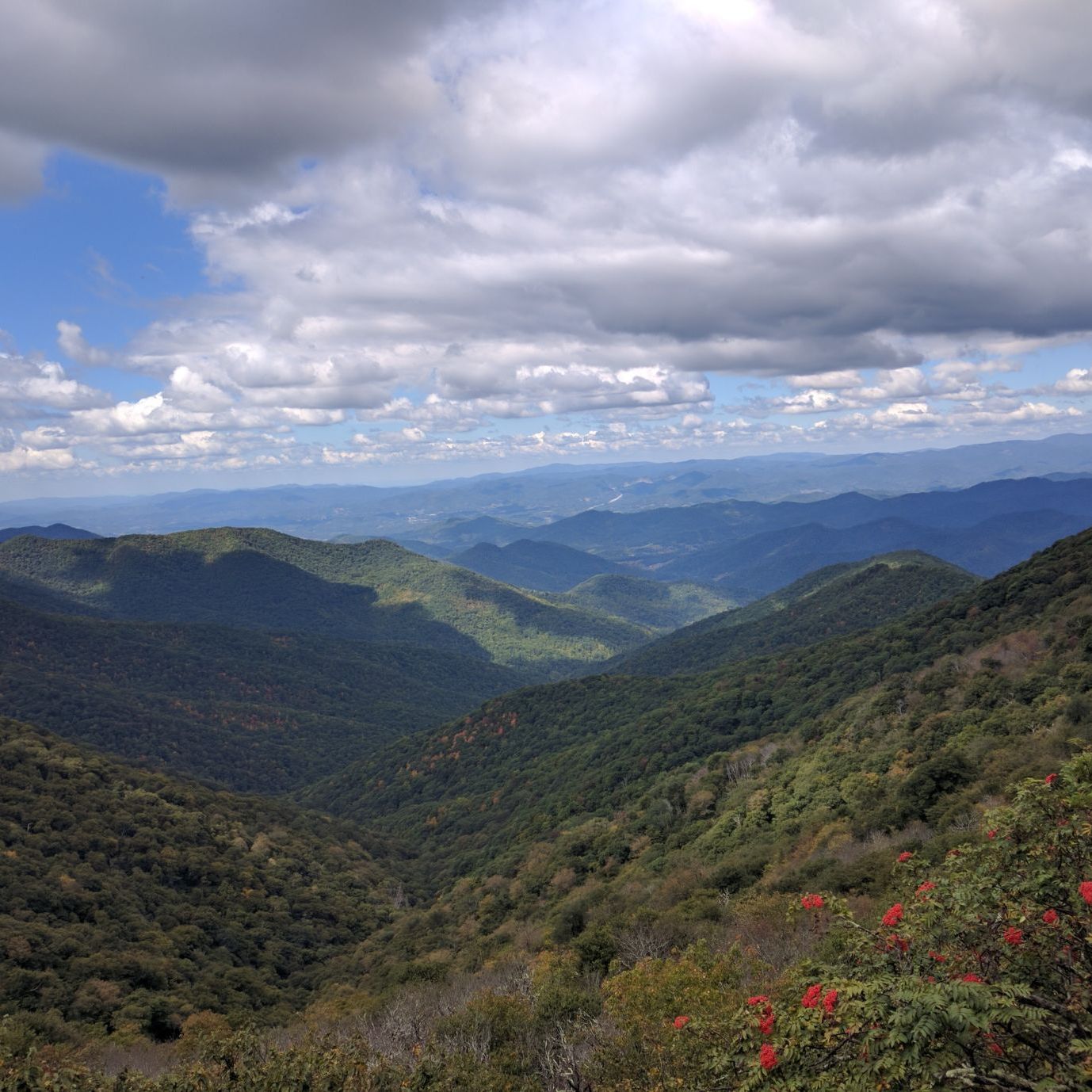 Profile of Richard Jones