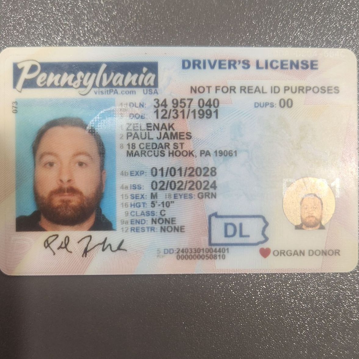 Profile of Paul Zelenak