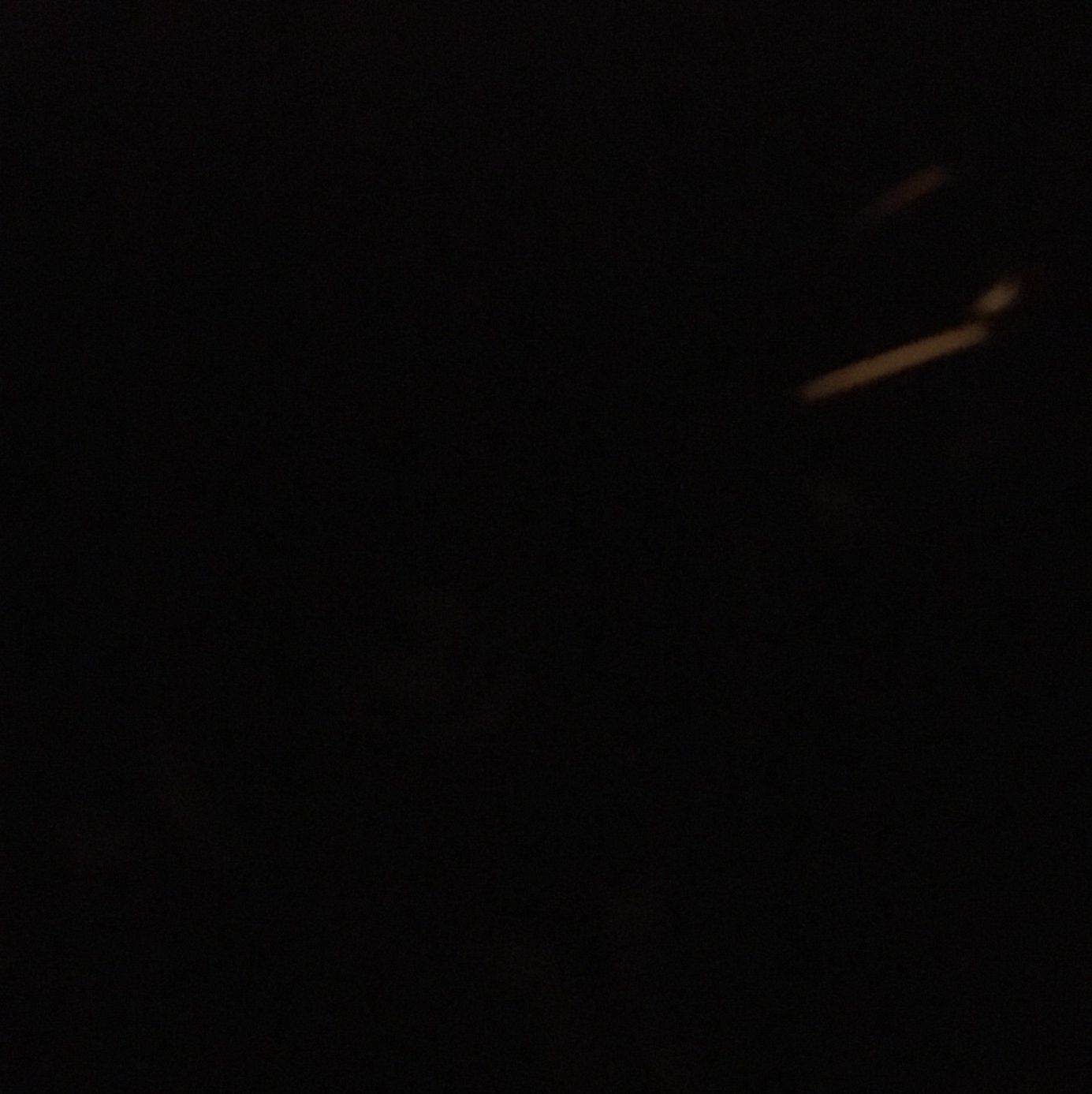 Profile of Nika Wong