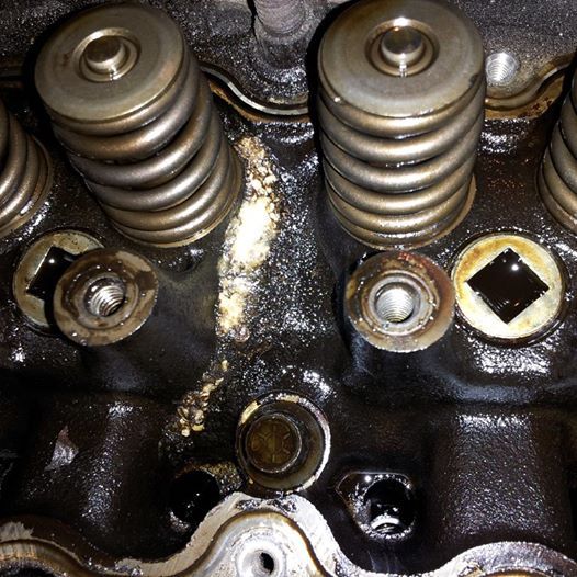 Profile of Jeff Frasca