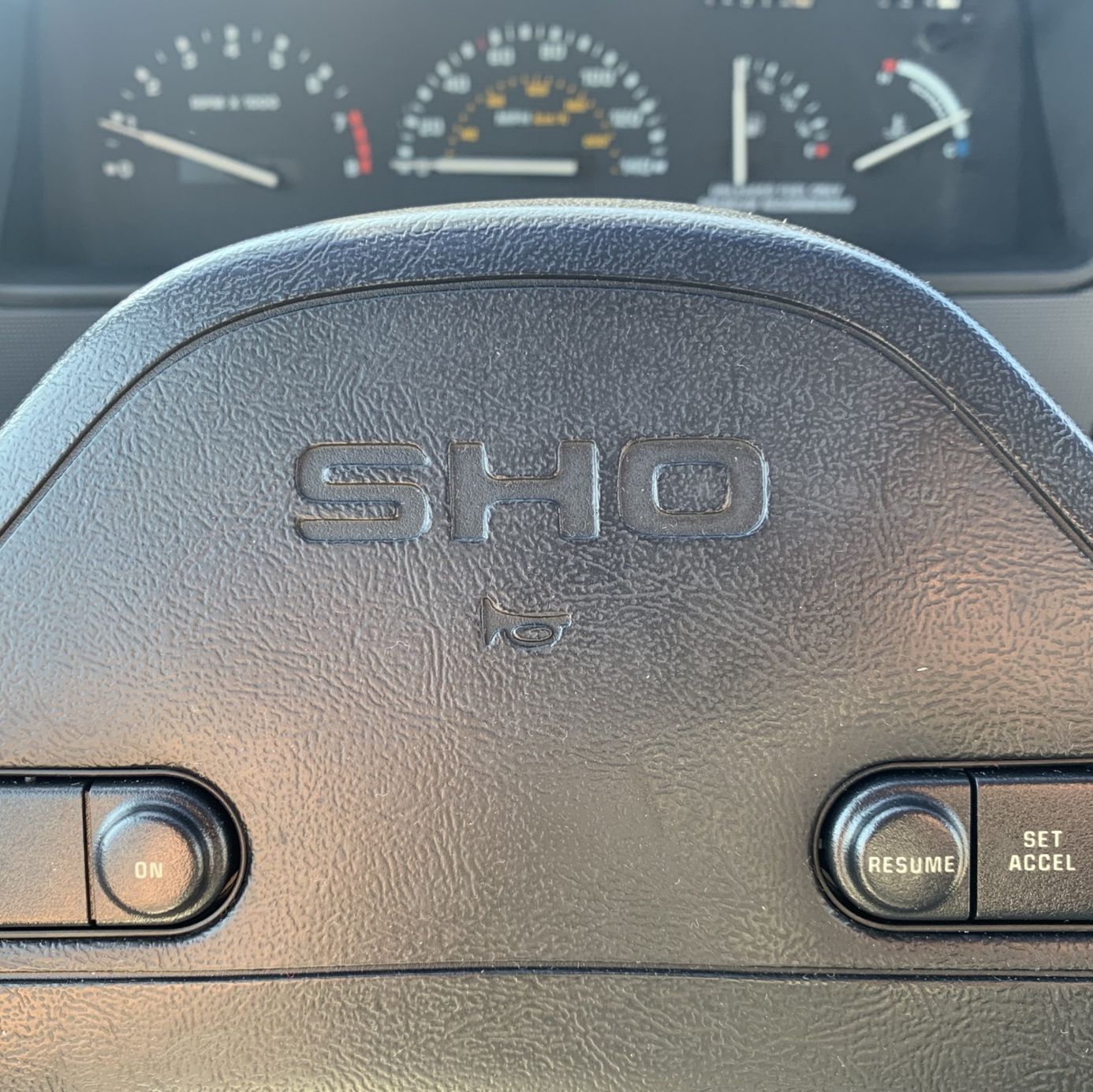 Profile of Chuck Curtis