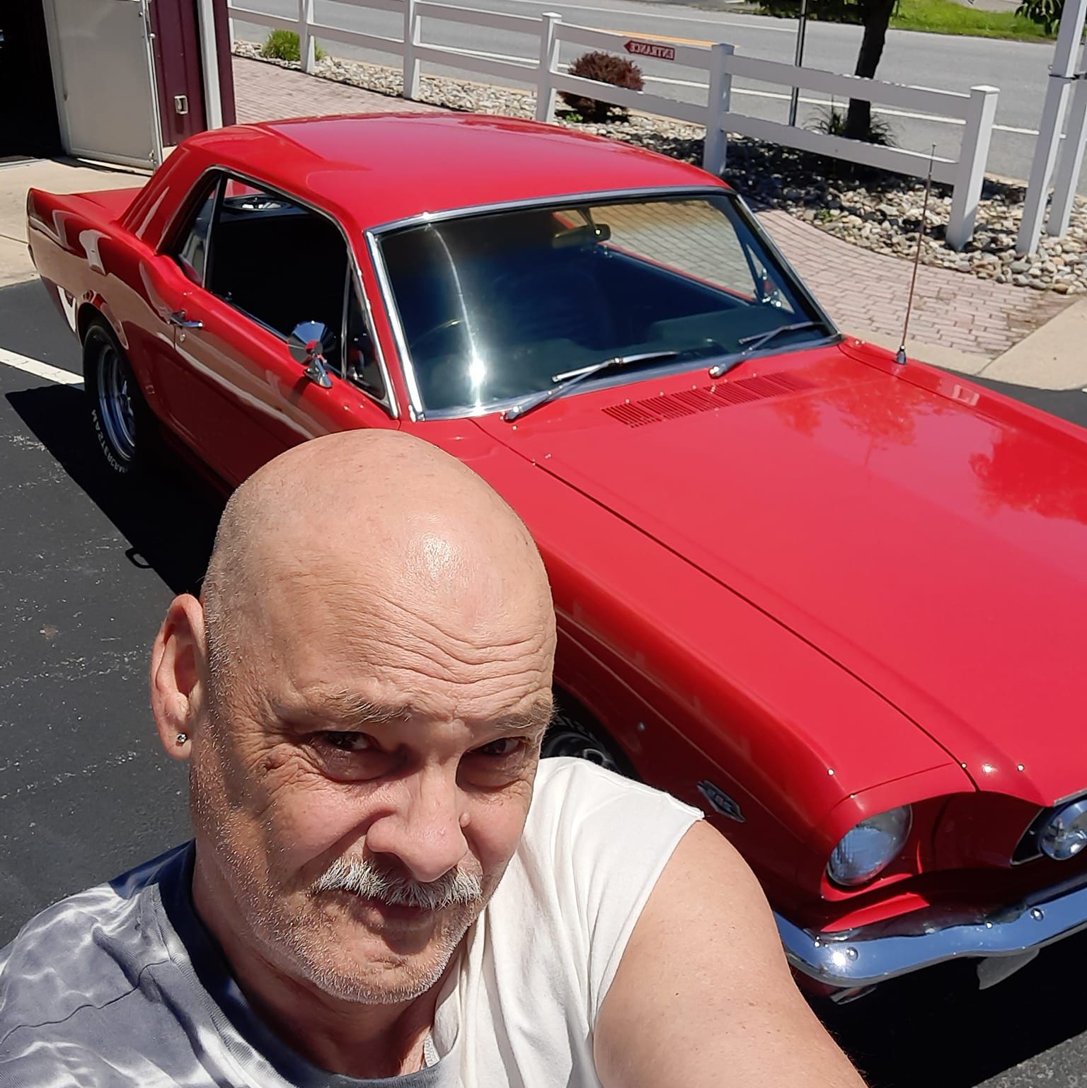 Profile of David Levinson