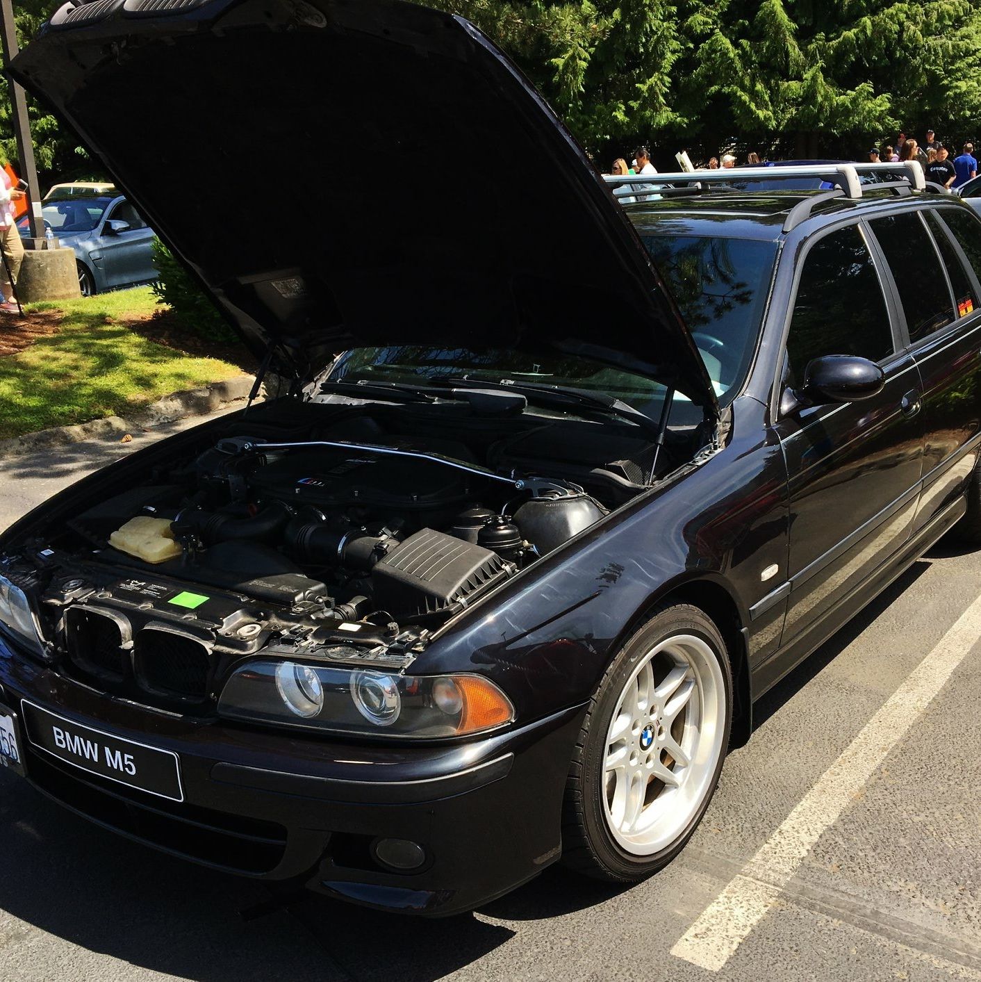 Profile of Dmitri Velcev