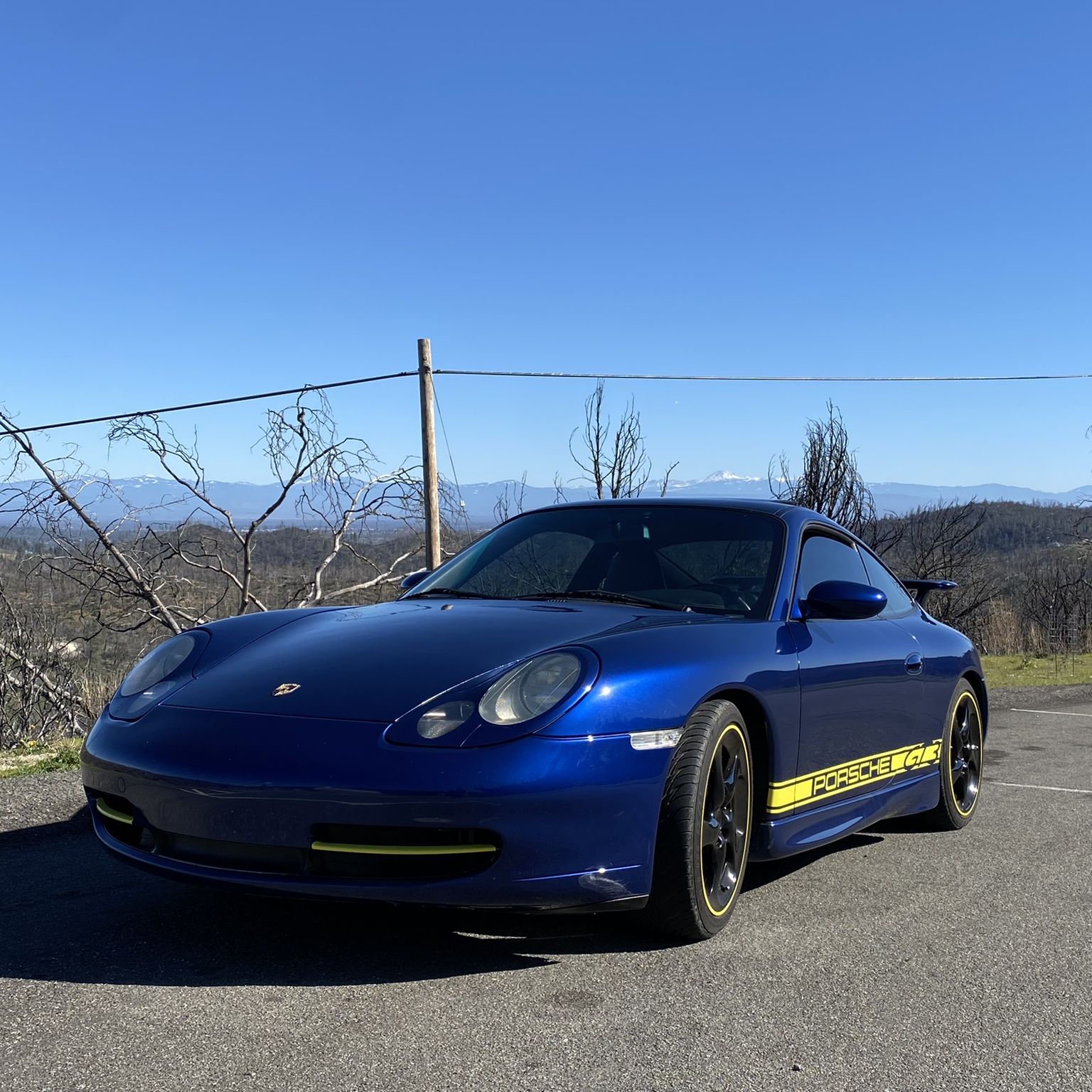 Profile of Robert Paradiso