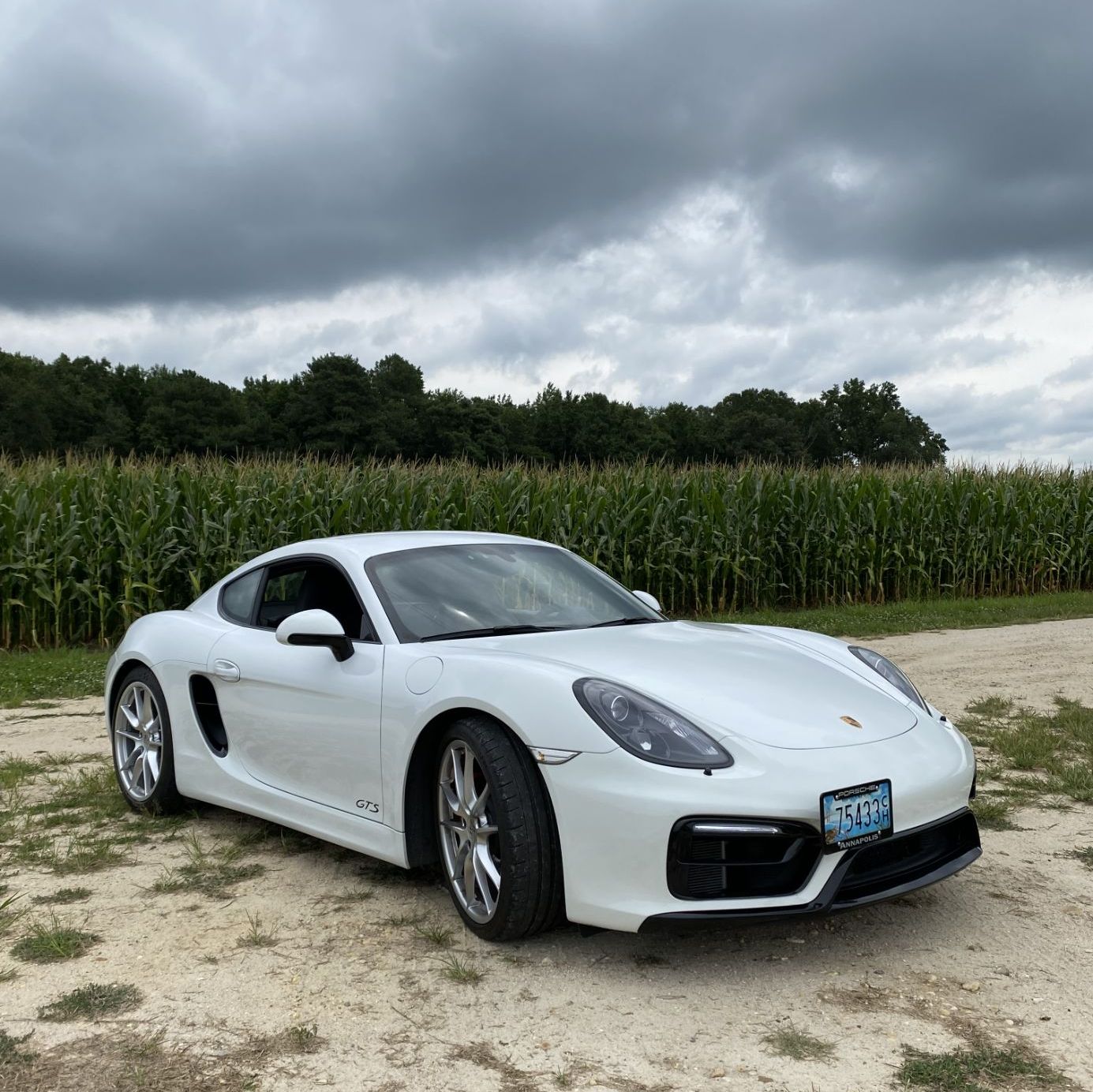 Profile of Laura Kissel