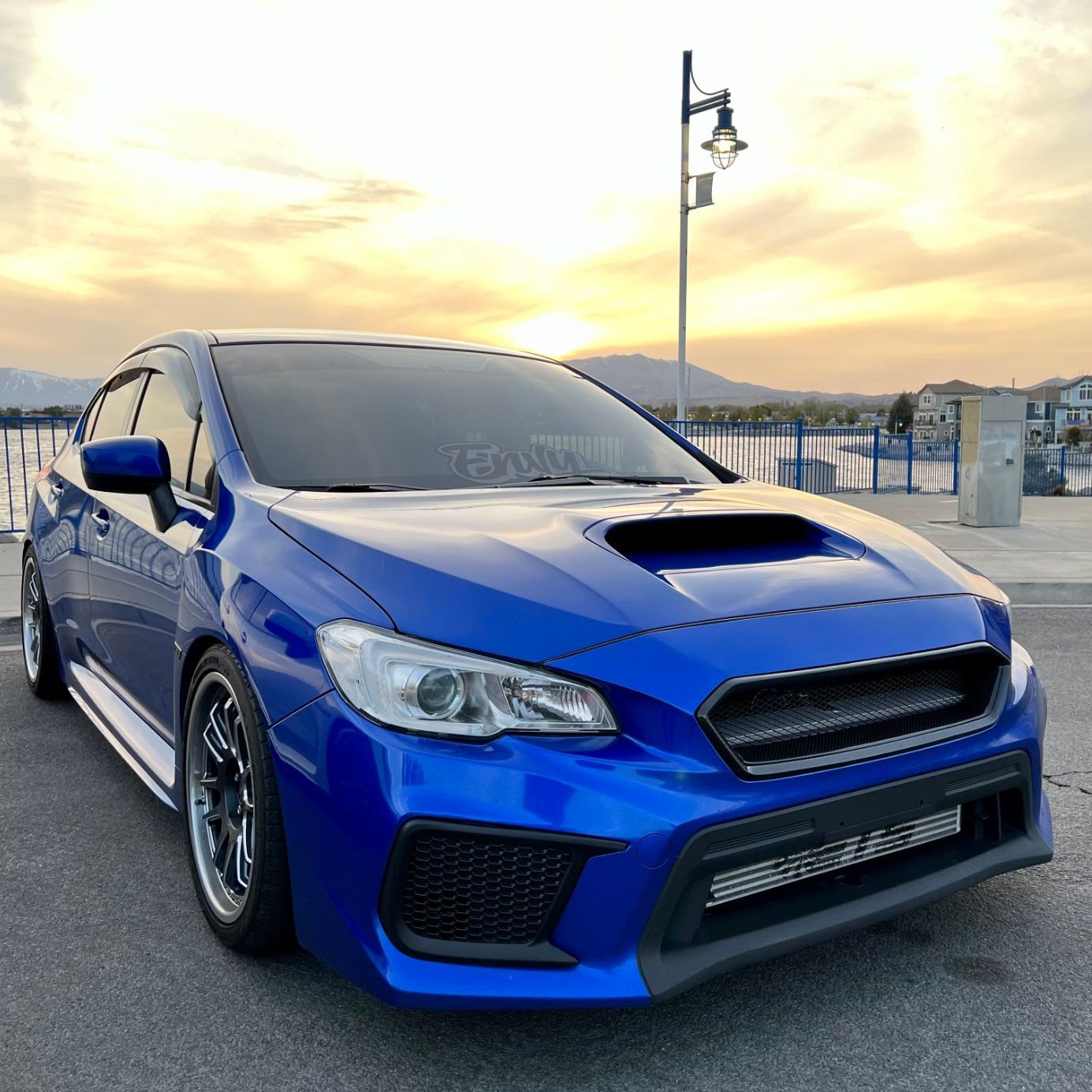 Profile of Evan Bird