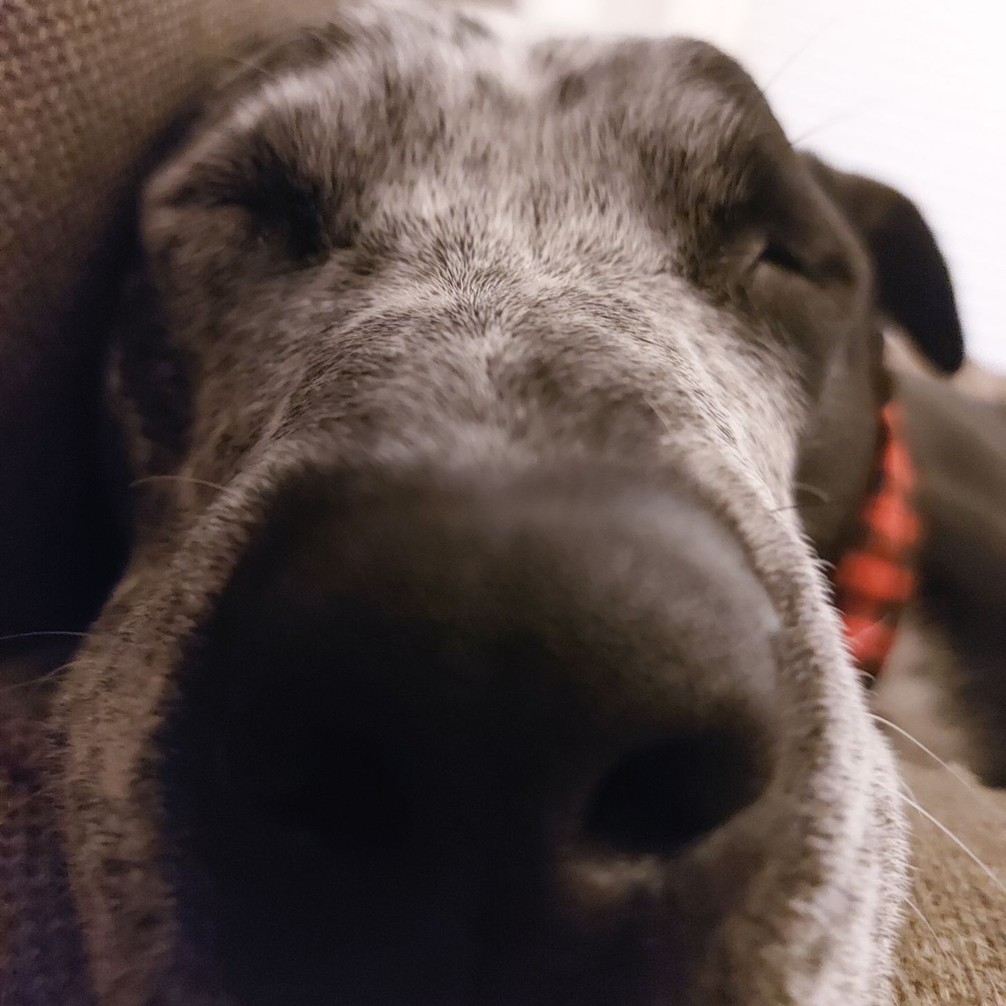 Profile of Stephen Foord